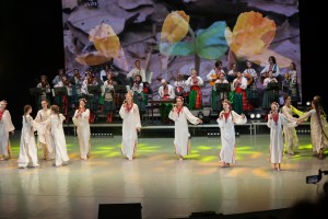 DSC09616 (1)